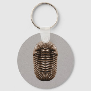 Trilobite Keychain