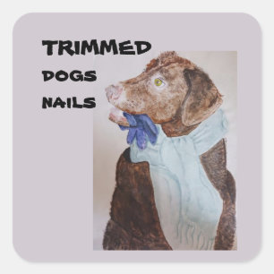 trimmed dogs nails Classic Round Stickers