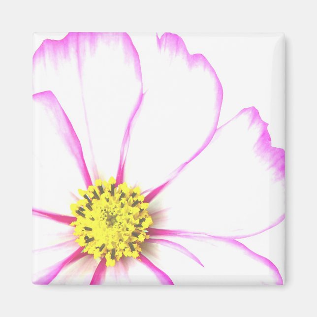 Trimmed In Pink Magnet (Front)