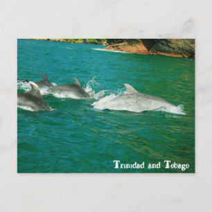 Trinidad and Tobago Postcard