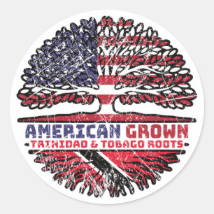 Trinidad and Tobago US American USA United States Classic Round Sticker