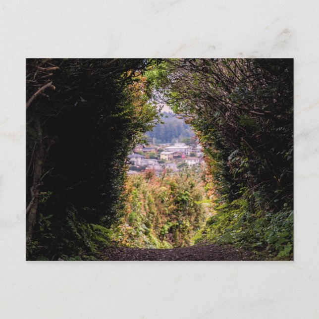 Trinidad Postcard (Front)