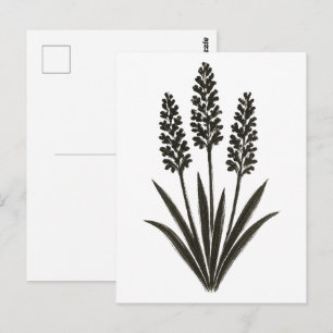 Trio Hyacinth – Spring Botanical Ink Brush on Postcard