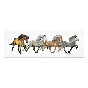 Trio in Tolt Photo Print