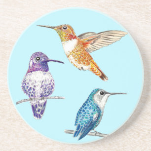 Trio of Bright Hummingbirds, Costas, Rufous Coaster