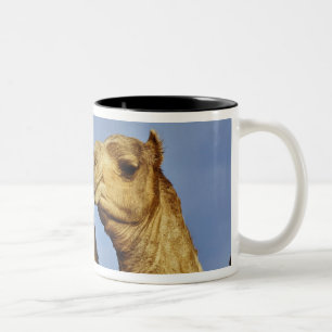 Trio of camels, camel market, Cairo, Egypt Two-Tone Coffee Mug