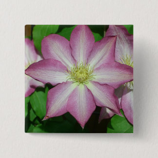 Trio of Clematis Pink and White Spring Vine 15 Cm Square Badge