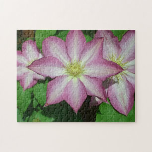 Trio of Clematis Pink and White Spring Vine Jigsaw Puzzle