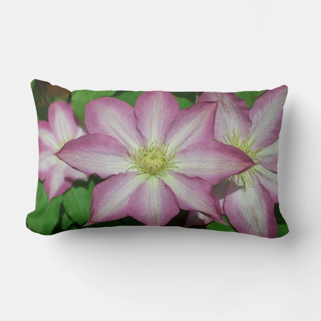 Trio of Clematis Pink and White Spring Vine Lumbar Cushion (Front)