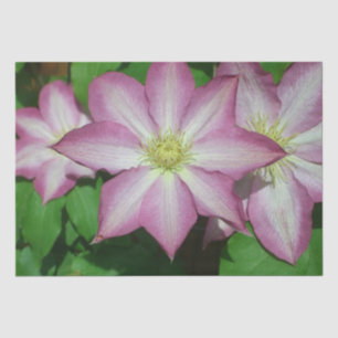 Trio of Clematis Pink and White Spring Vine Tissue Paper