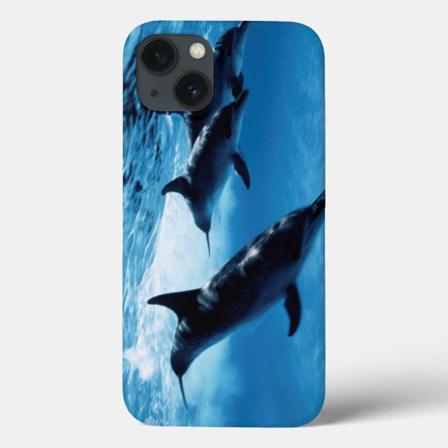 Trio of Dolphins Case-Mate iPhone Case (Back)
