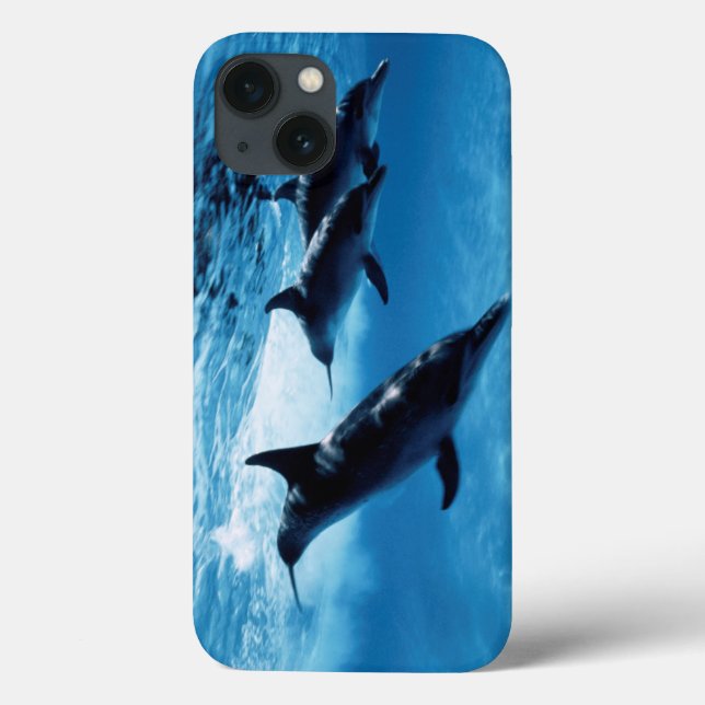 Trio of Dolphins Case-Mate iPhone Case (Back)