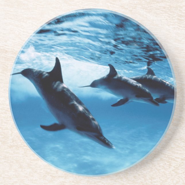 Trio of Dolphins Coaster (Front)