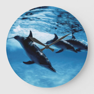 Trio of Dolphins Large Clock