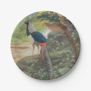 Trio of Lady Amherst's pheasant by waterfall Paper Plate