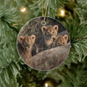 Trio of Lion Cubs with Mother Ceramic Tree Decoration
