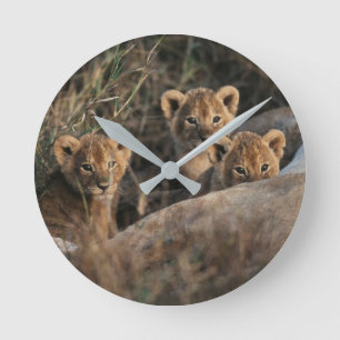 Trio of Lion Cubs with Mother Round Clock