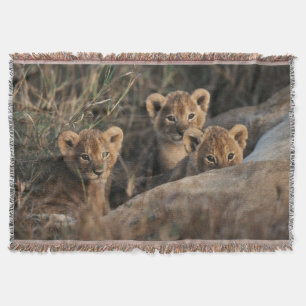Trio of Lion Cubs with Mother Throw Blanket