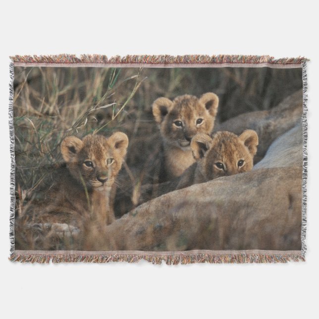 Trio of Lion Cubs with Mother Throw Blanket (Front)