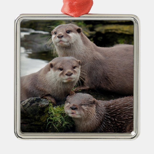 Trio of Otters Metal Tree Decoration (Front)