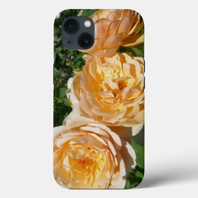 Trio of Peach Roses Floral Case-Mate iPhone Case (Back)