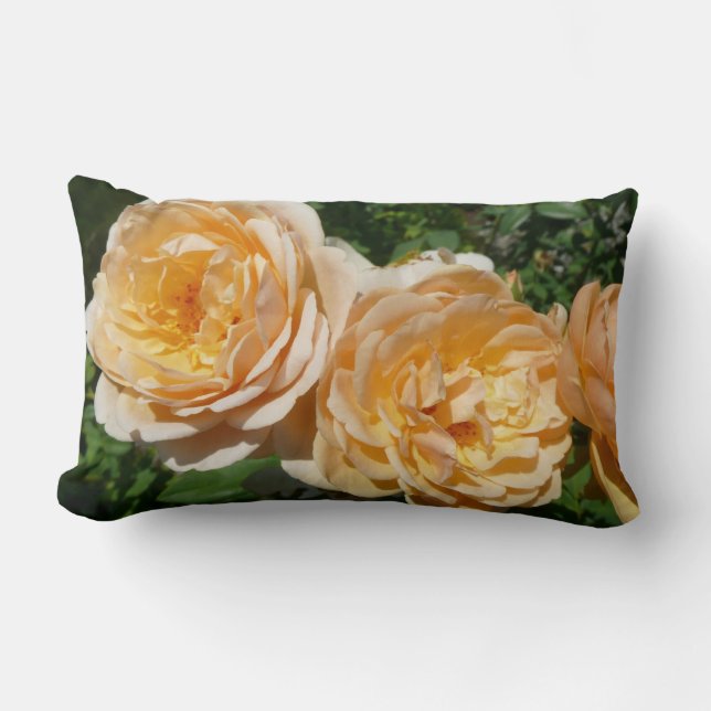Trio of Peach Roses Floral Lumbar Cushion (Front)