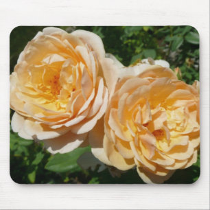 Trio of Peach Roses Floral Mouse Pad