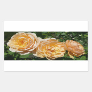 Trio of Peach Roses Floral Rectangular Sticker