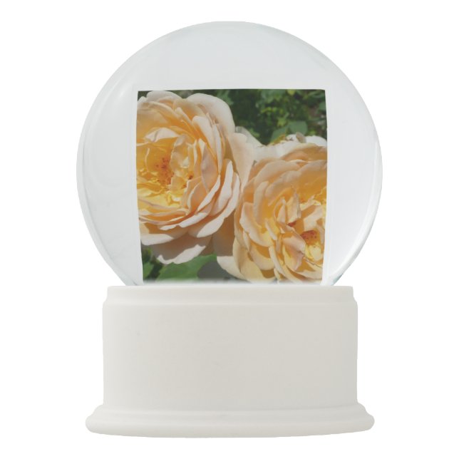 Trio of Peach Roses Floral Snow Globe (Front)