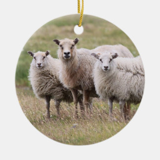 Trio of Sheep in Iceland Ceramic Tree Decoration