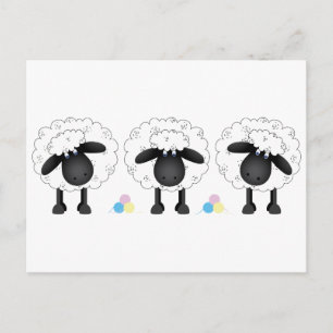 Trio Of Sheep Postcard