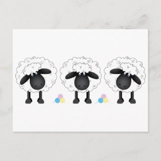 Trio Of Sheep Postcard