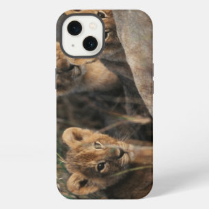 Trio of six week old Lion cubs sitting iPhone 13 Case