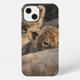 Trio of six week old Lion cubs sitting iPhone 13 Case