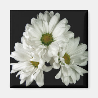 Triple Delight Magnet