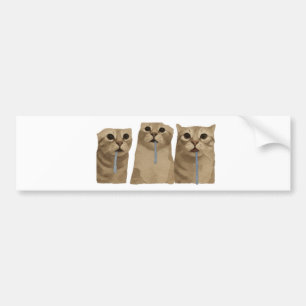 Triple Drooling Goofy Cats Meme Bumper Sticker