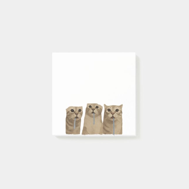 Triple Drooling Goofy Cats Meme Post-it Notes (Front)