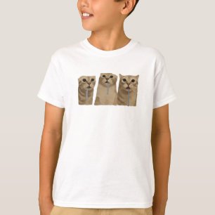 Triple Drooling Goofy Cats Meme T-Shirt