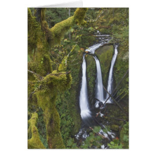 Triple Falls, Columbia River Gorge 2