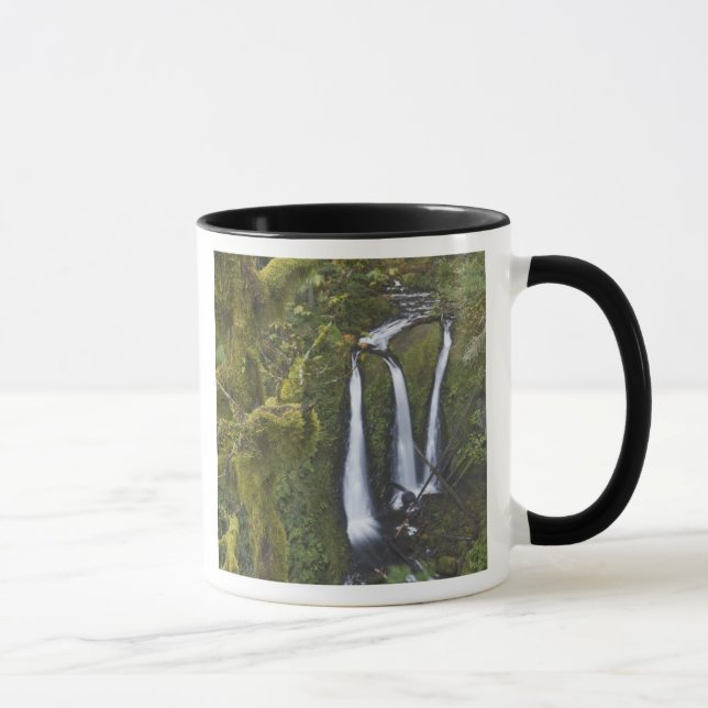 Triple Falls, Columbia River Gorge Mug (Right)
