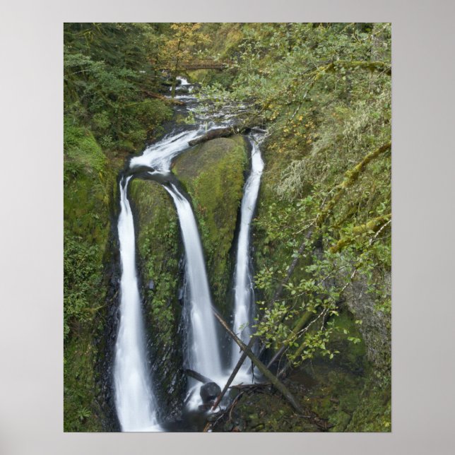 Triple Falls, Columbia River Gorge Poster (Front)