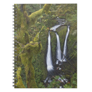 Triple Falls, Columbia River Gorge Spiral Notebook