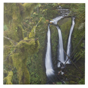Triple Falls, Columbia River Gorge Tile