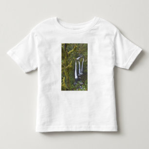 Triple Falls, Columbia River Gorge Toddler T-Shirt