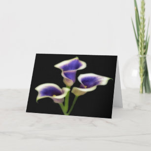 Triple Royal Purple Floral Greeting Cards
