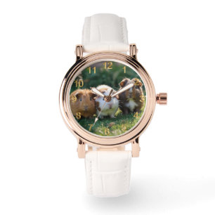 Triple Squeak: Three Baby Guinea Pigs, Watch