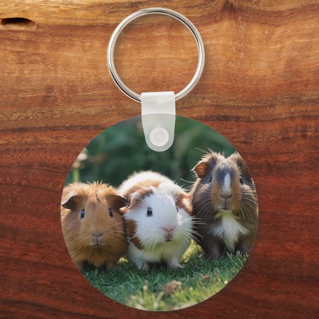 "Triple Squeak: Trio of Adorable Baby Guinea Pigs Key Ring (Back)