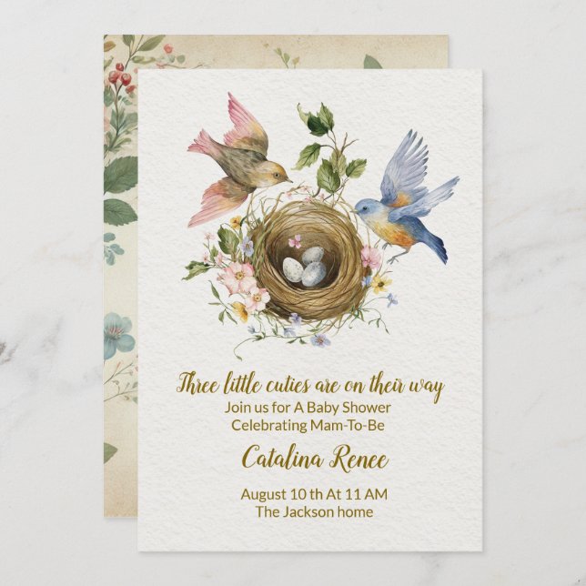 Triple the Joy: A Celebration for our Triplets! Invitation (Front/Back)