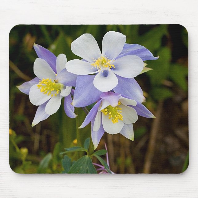 Triplets and New Bloom Mouse Pad (Front)