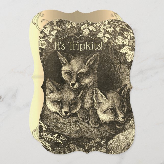 Triplets vintage baby fox baby shower invitation (Front/Back)